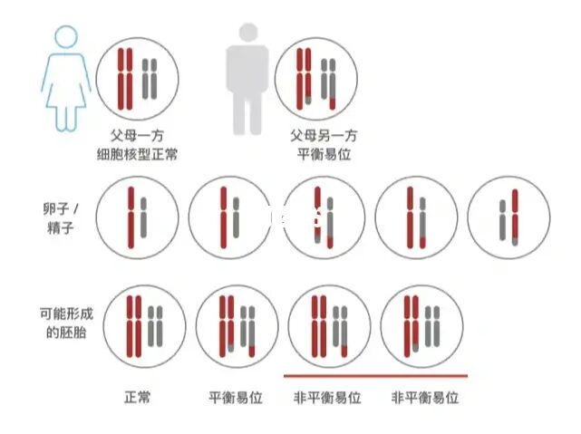 女方染色体异常男方正常可以做试管吗？做第几代试管合适